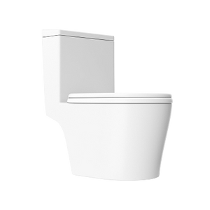 House - Toilet Parts