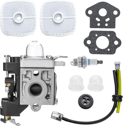 RB-K106 carburetor tune-up kit for Echo PB250 leaf blowers including carburetor, air filters, gaskets, and fuel lines.