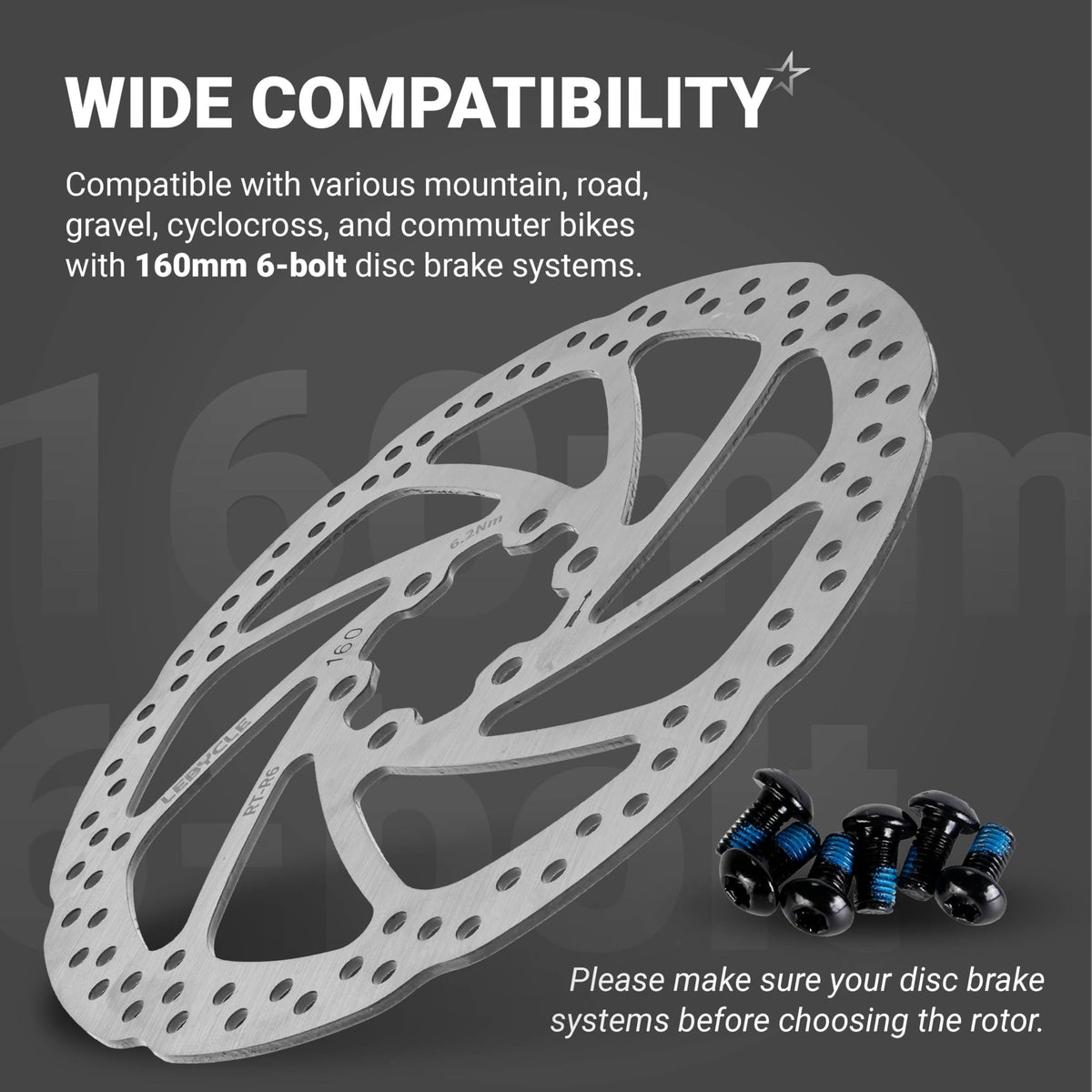 160mm stainless steel bike disc brake rotor with 6 mounting bolts for mountain and road bikes.
