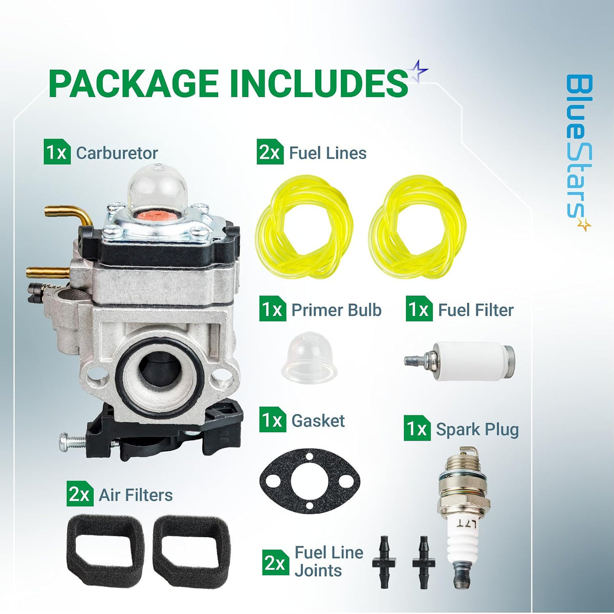 RY25AXB Carburetor Tune-Up Kit for Ryobi 25cc 2-Cycle Leaf Blower, package contents shown