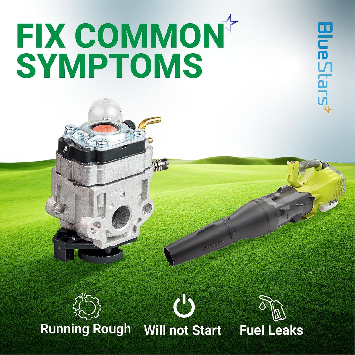 RY25AXB Carburetor Tune-Up Kit graphic with carburetor, leaf blower, and symptoms: running rough, will not start, fuel leaks