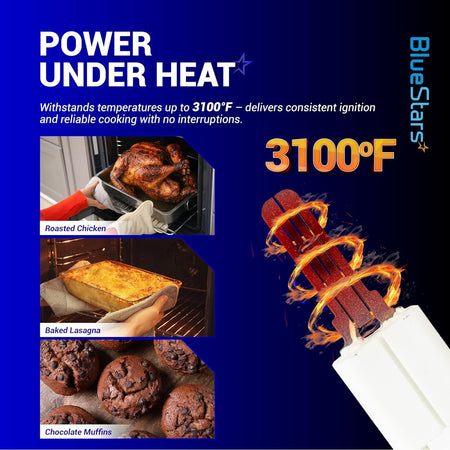 DG94-01012A gas oven igniter infographic showing 3100°F heat resistance and cooking examples for Samsung oven ranges.