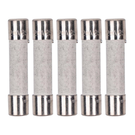 Pack of five 20A 250V ceramic slow-blow microwave replacement fuses.