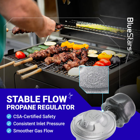 CSA-certified propane gas regulator for Weber grills with close-up of safety certification stamp.