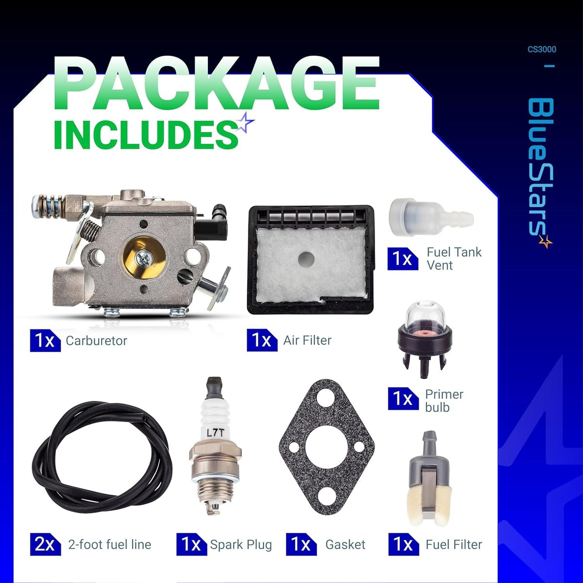Echo CS3000 chainsaw carburetor repair kit including carburetor, air filter, spark plug, fuel lines, and accessories.