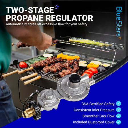Two-stage propane regulator for F273684 hose assembly shown with safety features and grill background.