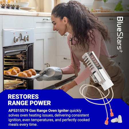 AP5315579 gas range oven igniter replacement part for Viking ovens shown with ceramic nuts and wiring.