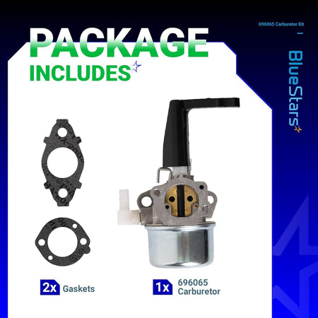 696065 carburetor kit including one carburetor and two mounting gaskets for small engines.