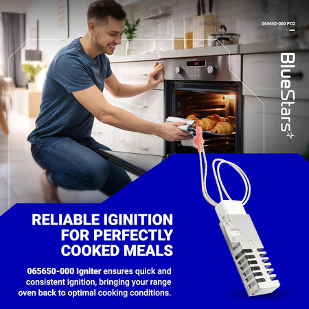 065650-000 range oven igniter replacement part for Viking gas stoves shown in a lifestyle marketing graphic.