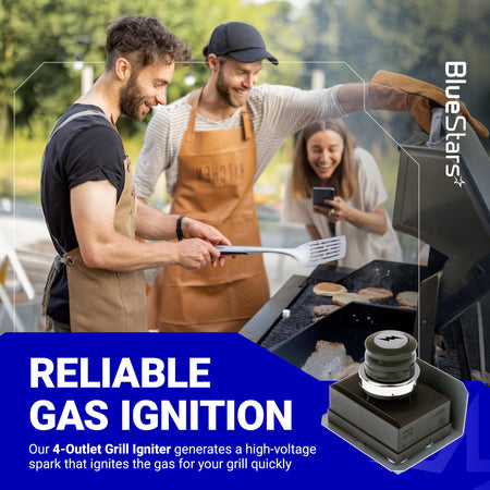 Replacement 4-outlet igniter module for Weber Genesis 300 series gas grills with button switch.