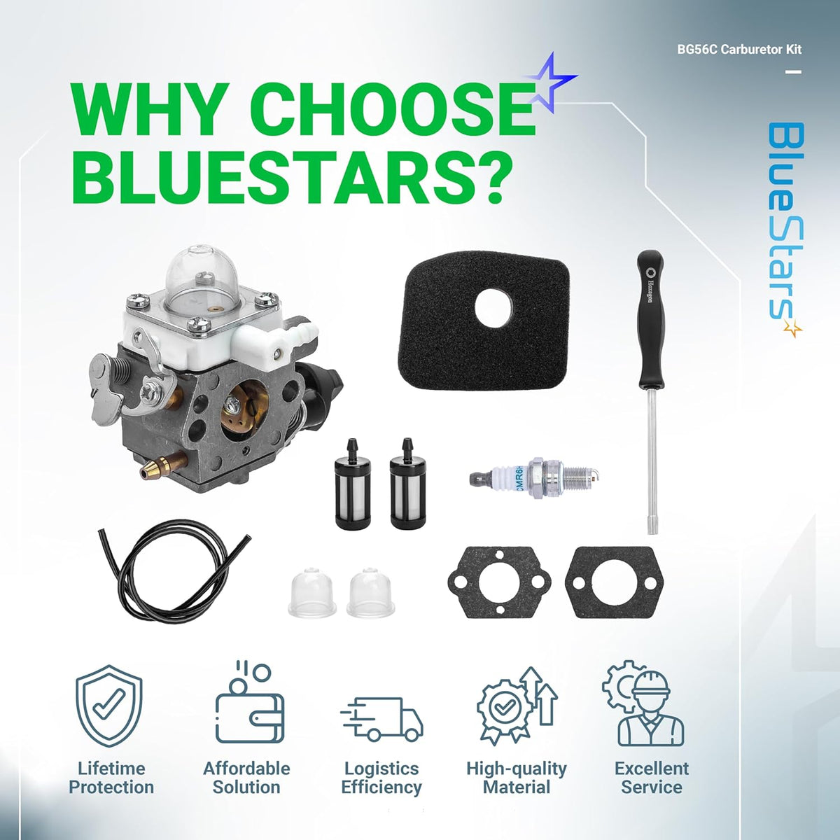 BG56C carburetor tune-up kit for Stihl leaf blowers including carburetor, air filter, spark plug, fuel lines, and tools.