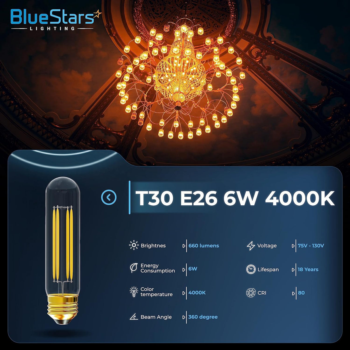 T30 tubular LED light bulb with E26 base and 6W 4000K specifications infographic.