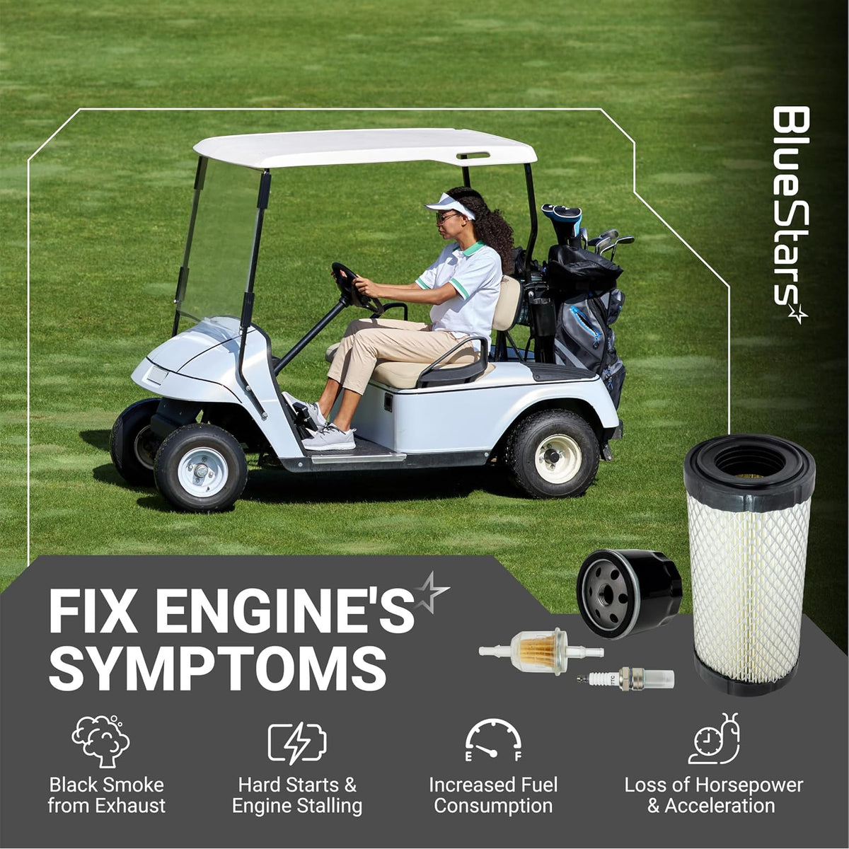28463G01 Air Filter graphic showing a golf cart, air, fuel and oil filters, spark plug, and engine symptom icons