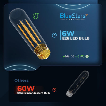 Comparison graphic showing a 6W T10 tubular LED bulb with E26 base versus a standard 60W incandescent bulb.