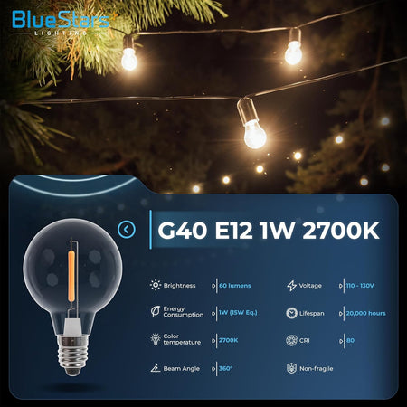 G40 LED globe bulb with E12 base and technical specification infographic showing 1W power and 2700K color temperature.