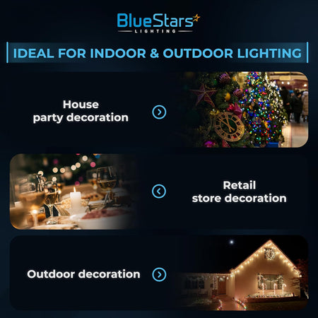BlueStars G40 LED light bulbs used for indoor and outdoor party, retail, and home holiday decorations.